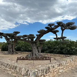 Mas Dauden , Tortosa España